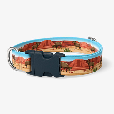 image of front of collar.