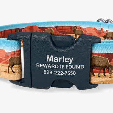 closeup of buckle personalization