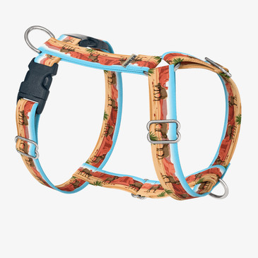 front view of harness