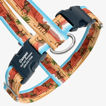 closeup view of harness with personalized buckle