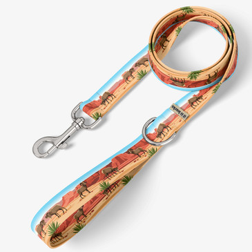 front view of leash
