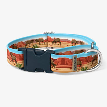 front view of collar