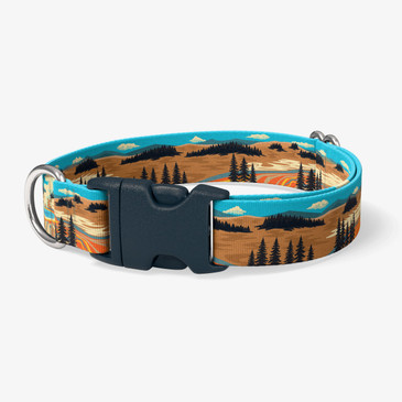 image of front of collar.