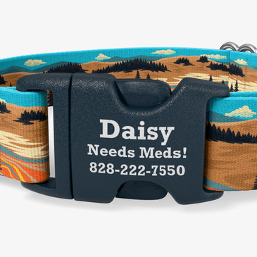 closeup of buckle personalization