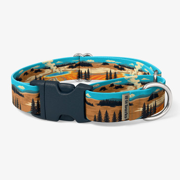 front view of collar