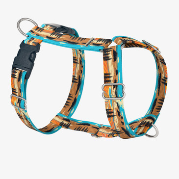 front view of harness