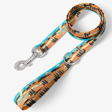 front view of leash