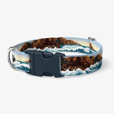 image of front of collar.