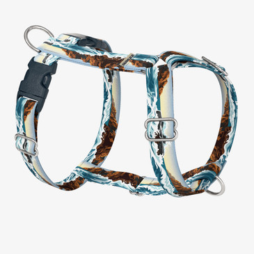 front view of harness