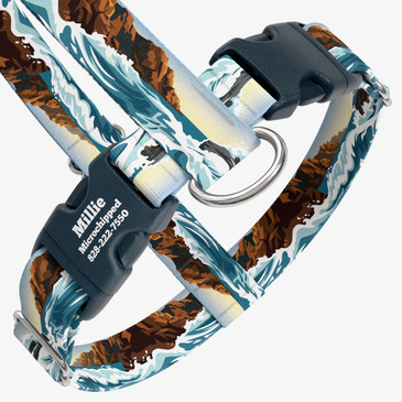 closeup view of harness with personalized buckle