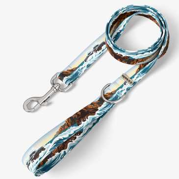 front view of leash
