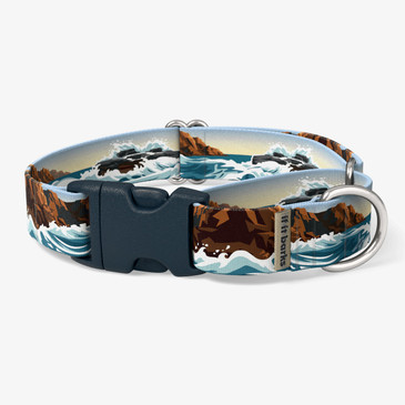 front view of collar