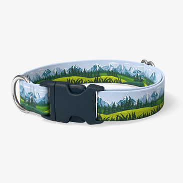 image of front of collar.