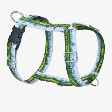 front view of harness