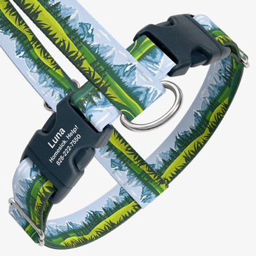closeup view of harness with personalized buckle
