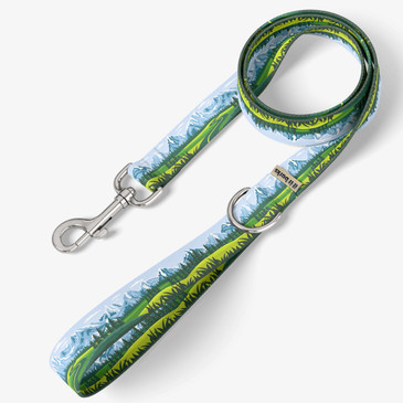 front view of leash