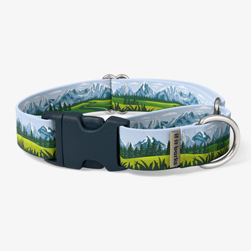 front view of collar