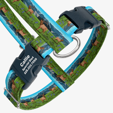 closeup view of harness with personalized buckle