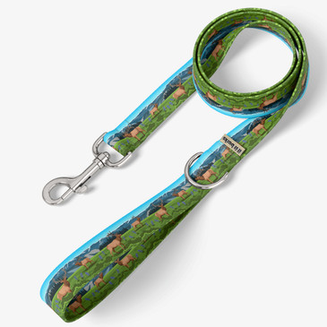 front view of leash