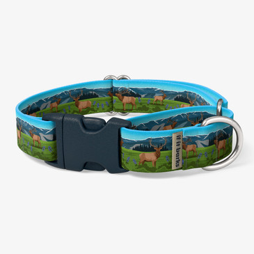 front view of collar
