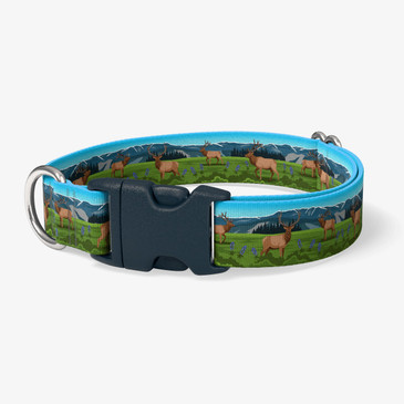 image of front of collar.