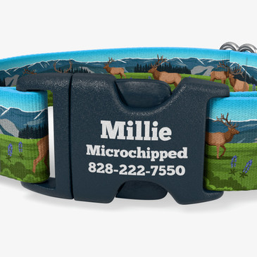 closeup of buckle personalization
