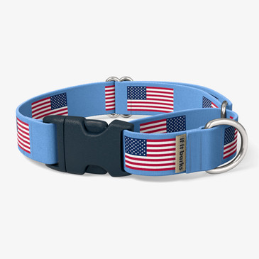 front view of collar