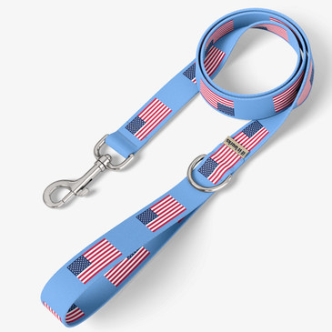 front view of leash