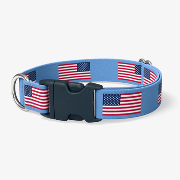 image of front of collar.