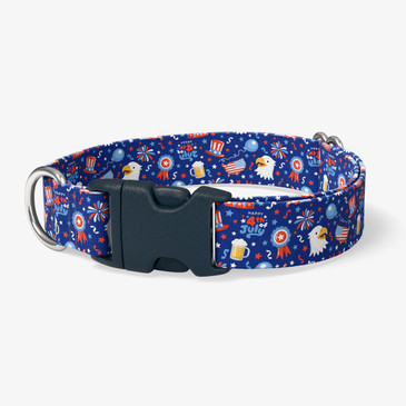 image of front of collar.