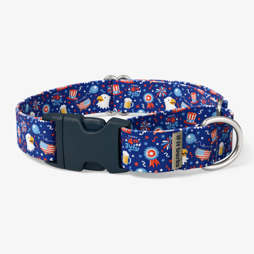 front view of collar
