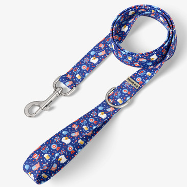 front view of leash
