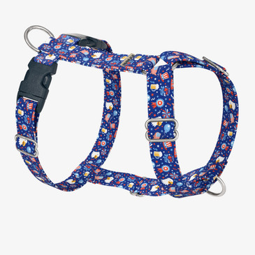 front view of harness
