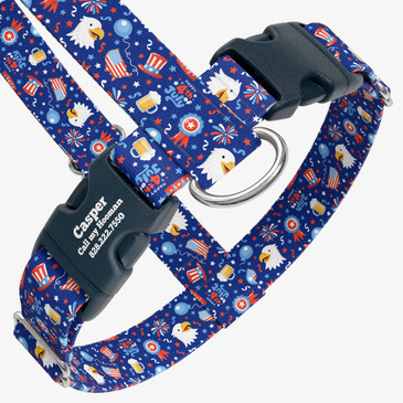 closeup view of harness with personalized buckle