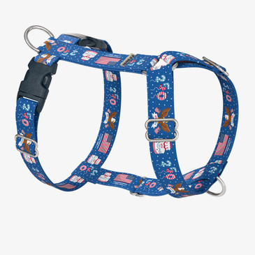 front view of harness