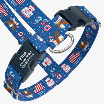 closeup view of harness with personalized buckle
