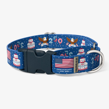 front view of collar