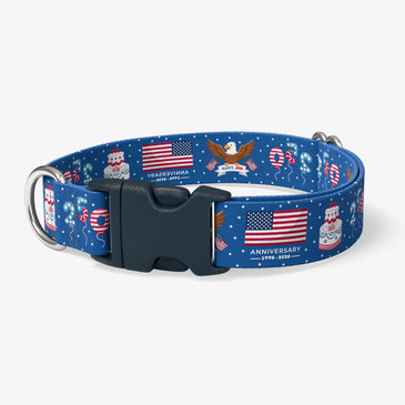 image of front of collar.