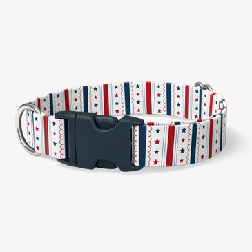 image of front of collar.