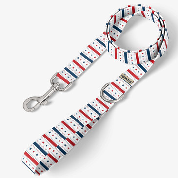 front view of leash