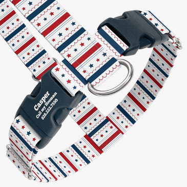 closeup view of harness with personalized buckle