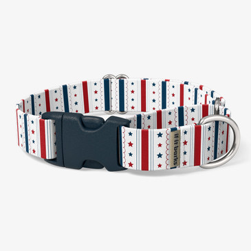 front view of collar