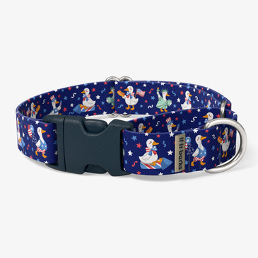 front view of collar