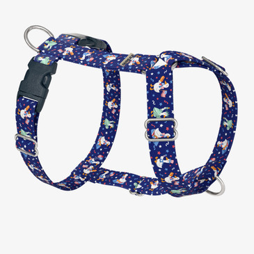 front view of harness