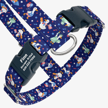 closeup view of harness with personalized buckle