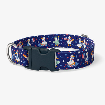 image of front of collar.