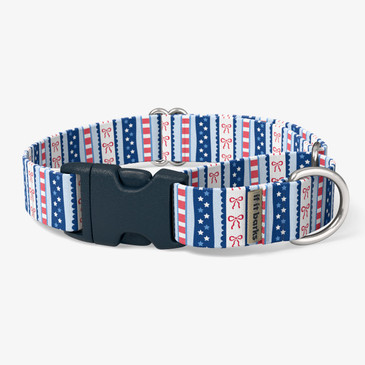 front view of collar