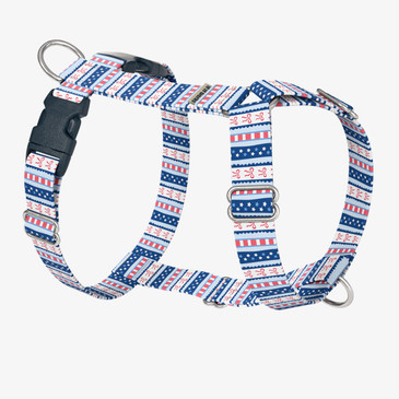front view of harness