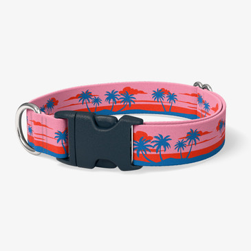 image of front of collar.