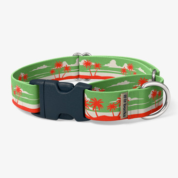 front view of collar